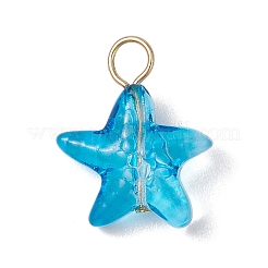 Морская звезда градиент цвета краска для выпечки прозрачные стеклянные подвески&nbsp;PALLOY-JF03265-01