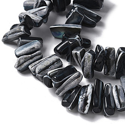 1 нить окрашенных натуральных бусин из ракушек трохус SSHEL-PA0001-01C