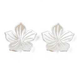 Абс пластиковые жемчужные бисера OACR-N012-001