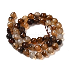 Нити окрашенных и нагретых бусин из натурального агата с полосками&nbsp;G-P539-F01-04