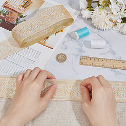 Плоская полиэфирная лента в этническом стиле SRIB-WH0026-13