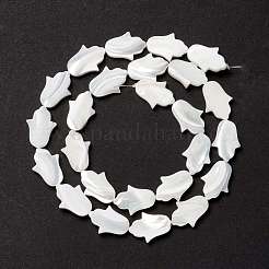 Бусины из натуральных трохоидных/трохус ракушек SSHEL-O001-23B