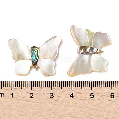 Кабошоны из натурального белого ракушечника и ракушки пауа SSHEL-I026-27