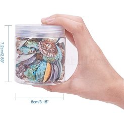 Бусины из ракушек BSHE-PH0003-16