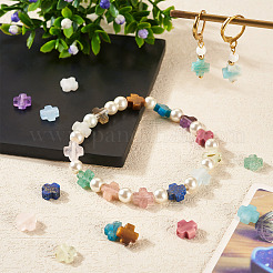 13шт 13 стиля бусины из натуральных смешанных драгоценных камней&nbsp;G-TA0002-50