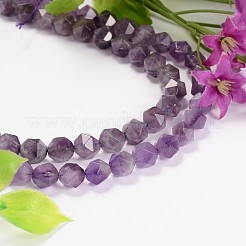 Граненые природные аметистовые бусины из драгоценных камней G-J331-05-10mm