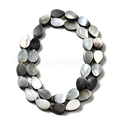 Нити бусин из натуральной черной ракушки для губ&nbsp;BSHE-D300-04A