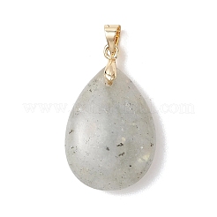 Природные подвески лабрадорита&nbsp;PALLOY-JF04953