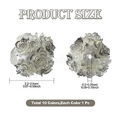 10шт 10 цвета бусины из смолы RESI-FS0002-24A
