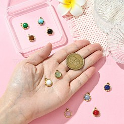 10 шт. 10 стиля смешанных полукруглых подвесок из драгоценных камней&nbsp;G-CJ0001-81