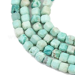 Бусы натуральная перуанская бирюза (яшма)&nbsp;G-G345-A01-2.5mm