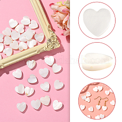 2 нить бусин из натуральных пресноводных ракушек SHEL-SC0001-85A