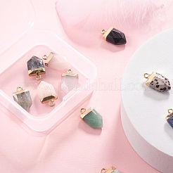 10 шт. 10 стильные остроконечные подвески из натуральных драгоценных камней&nbsp;G-LS0002-04