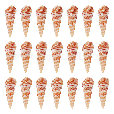 Натуральная раковина&nbsp;FIND-TAC0026-10C-1