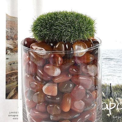 Окрашенные и нагретые натуральные бусины из агата X1-G-J402-03C-01-1