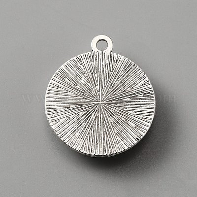 Пластиковые подвески FIND-WH0110-272D-AS-1