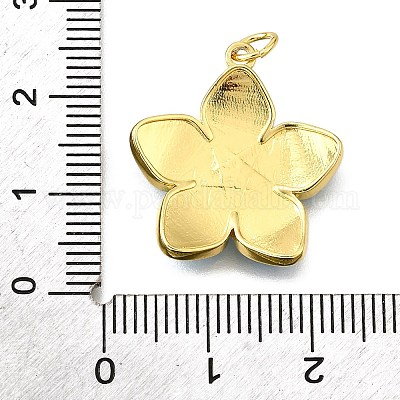 Латунь эмаль подвески KK-V011-29G-1