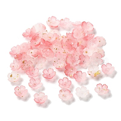 Акриловый шарик крышки OACR-Z028-03C-1