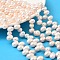 Natural Cultured Freshwater Pearl Beads Strands, Grade 4A++, Rice, Top Drilled, Old Lace, 8~9mm, Hole: 0.6mm, about 71pcs/strand, 16.46''(41.8cm)