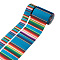 2Rolls 2 Styles Stripe Pattern Printed Polyester Grosgrain Ribbon, for DIY Bowknot Accessories, Colorful, 1roll/style