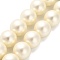 Shell Pearl Beads Strands, Frosted, Round, Cornsilk, 14.5x14mm, Hole: 0.8mm, about 29pcs/strand, 15.83''(40.2cm)