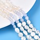 Натуральные голубые кружевные агатовые самородки и нити бусин из натурального культивированного пресноводного жемчуга PEAR-N023-01A-04-1