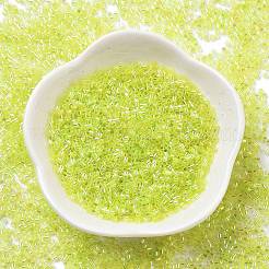 Стеклянные бусины прозрачных цветов SEED-H003-01G