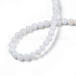 Нити бусин из натуральных пресноводных ракушек SHEL-N003-24-A01