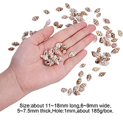 Натуральные спиральные бусы из ракушек SSHEL-PH0002-10