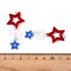 Акриловые большие подвески OACR-N144-04