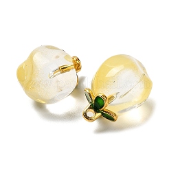 Стеклянные подвески&nbsp;GLAA-P072-05G-06