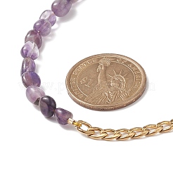 Смешанные природных драгоценных камней из бисера ожерелья NJEW-JN04156