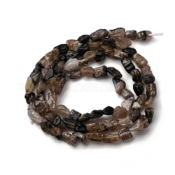 Нити из натуральных киастолитовых бусин G-I389-A26