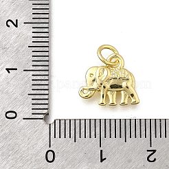 Латунные подвески&nbsp;KK-F899-10G