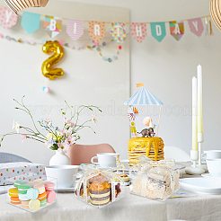 Пластиковый футляр для хранения подарков&nbsp;CON-WH0089-50