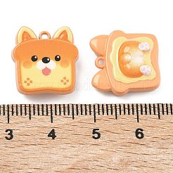 Подвески из сплава краски для выпечки&nbsp;FIND-G109-07A