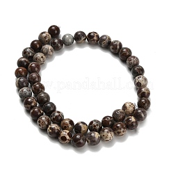 Нити бусин из натурального астроита и яшмы&nbsp;G-H329-C02-8mm