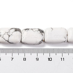 Природные Говлит бисер нитей G-T047-B23-01