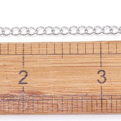 Цепи для панцирного ограждения из нержавеющей стали марки 304 CHS-F006-04B-P