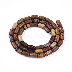 Нити бусин из натуральной яшмы пикассо/полихромной яшмы G-N346-01A-05