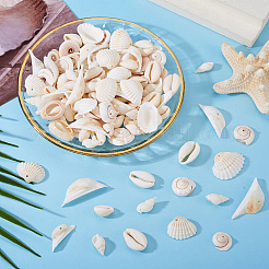 Наборы для самостоятельного изготовления украшений из натуральных ракушек DIY-BT0001-37