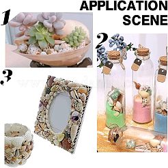 Натуральные раковины бисера SSHEL-FH0001-05