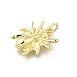 Латунные подвески KK-K400-14G