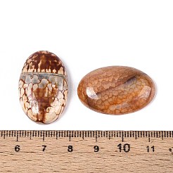 Окрашенные естественные кагашоны с агатом огня G-Q957-02B-20x30