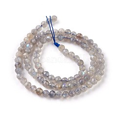 Природные лабрадорита бисер нитей G-O176-04A