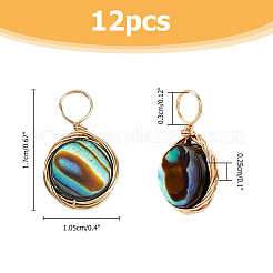 Подвески из натуральной раковины морского ушка/пауа&nbsp;SHEL-FI0001-01