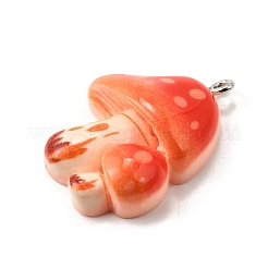 Подвески из смолы&nbsp;FIND-U030-05B-P