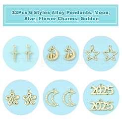 Подвески из сплава 12 шт.&nbsp;FIND-FS0003-38G