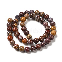 Океан Природный яшмы бисер нитей&nbsp;G-H298-A13-03