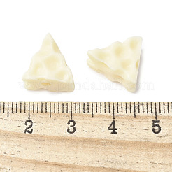 Натуральные бусины тагуа фурнитура для ювелирных изделий WOOD-V001-06